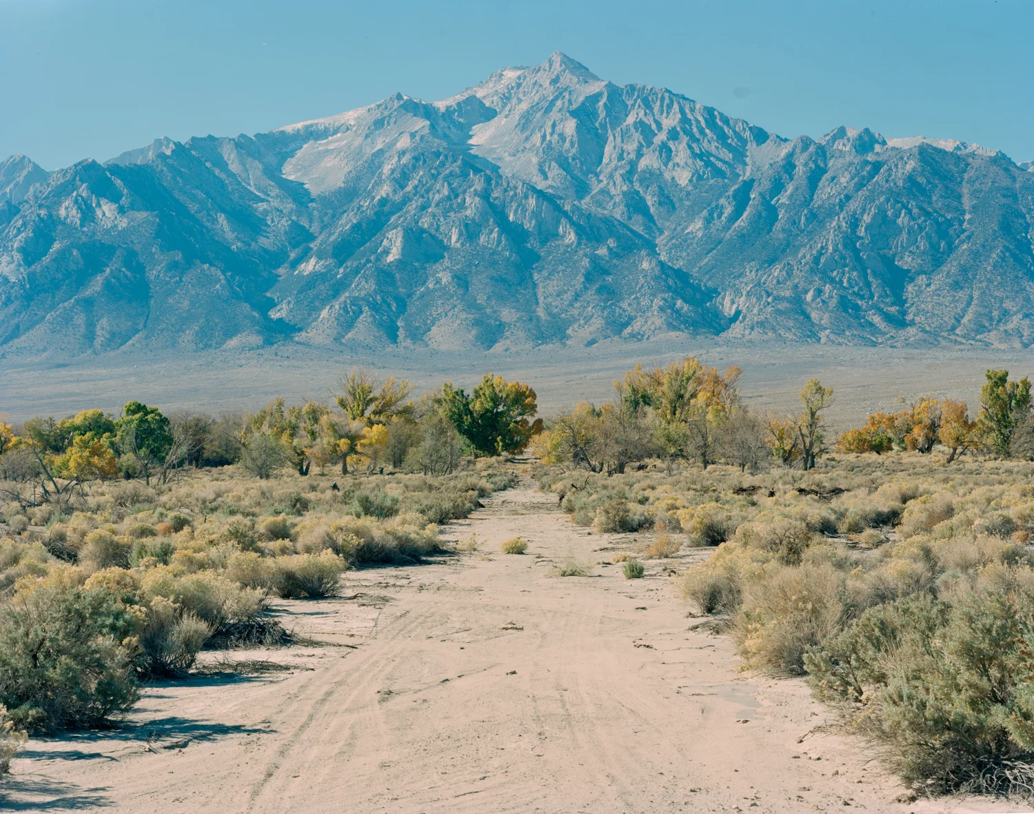 Manzanar