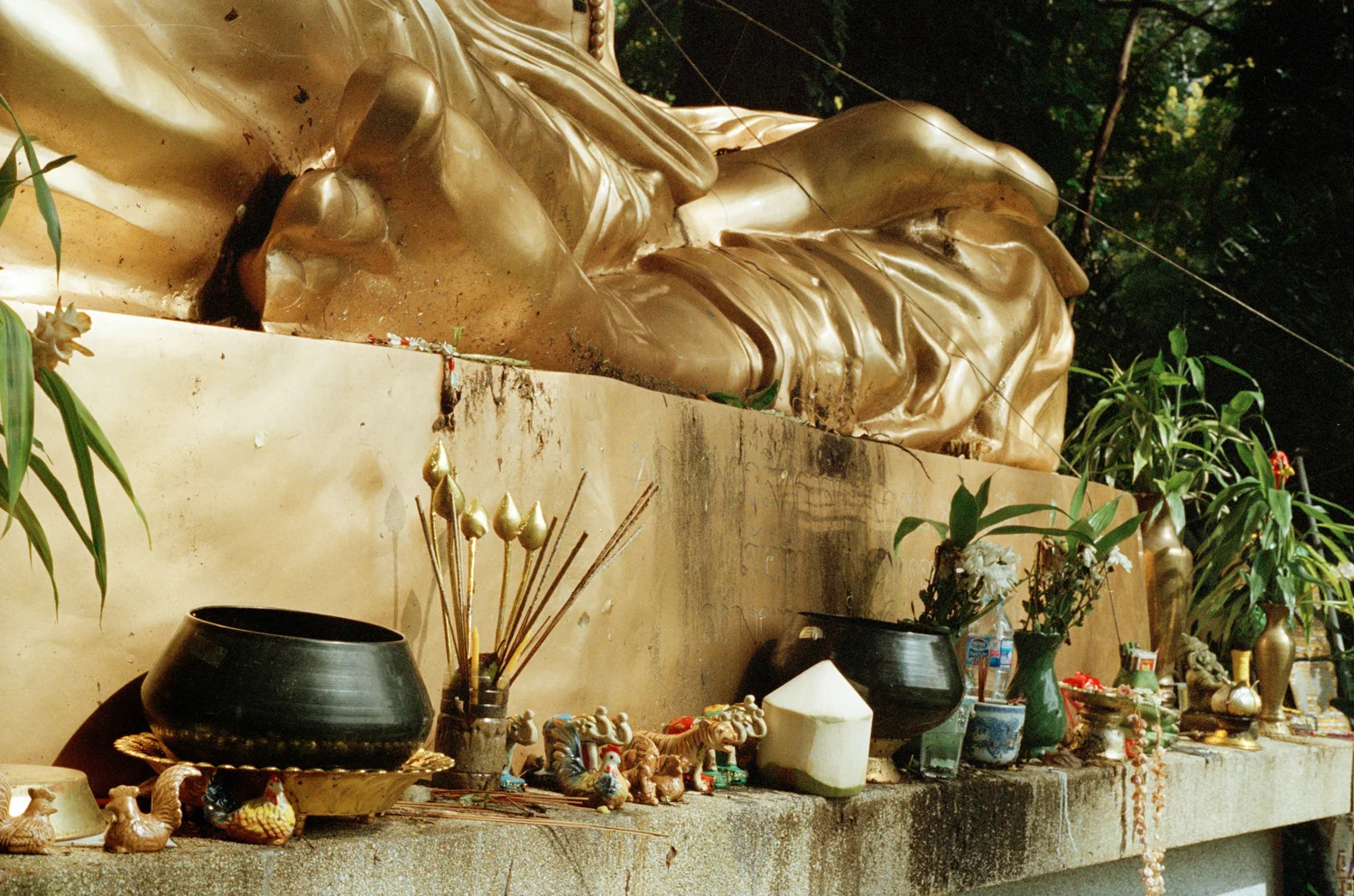 Doi Suthep