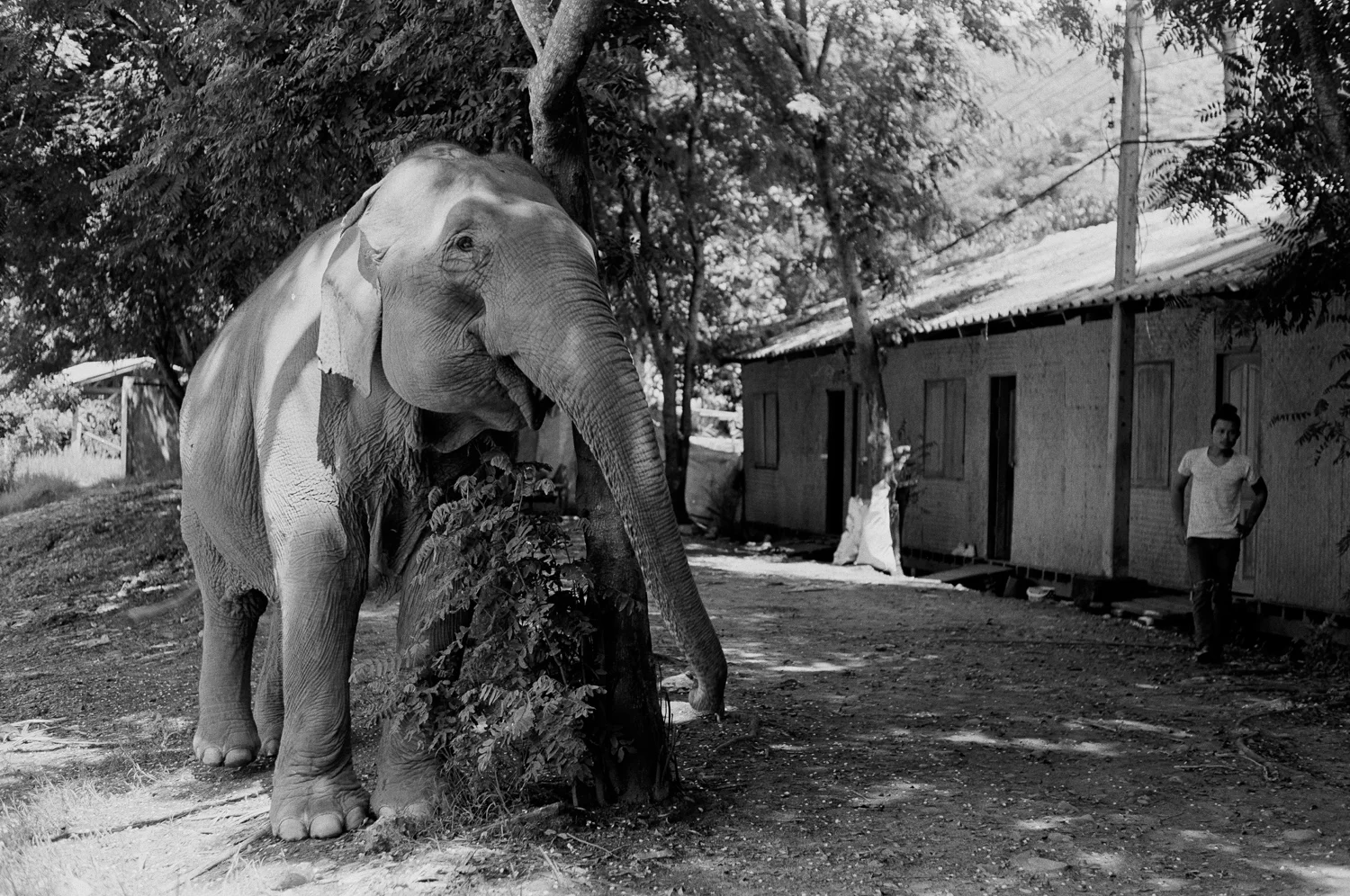 Chiang Mai