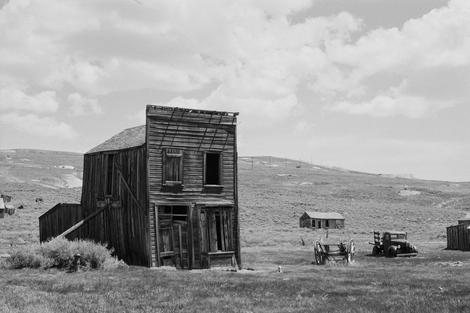 Bodie