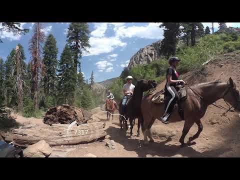 Emigrant Wilderness 360 Video Long Version