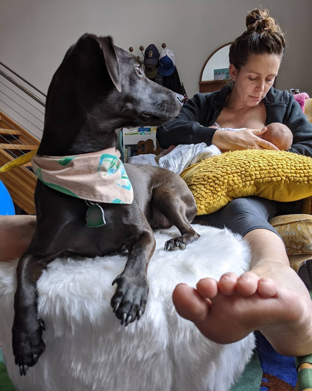 One month ago our family grew by one whole size! @fuzzwood gave birth to a beautiful, healthy boy. Welcome to the party, Miles!