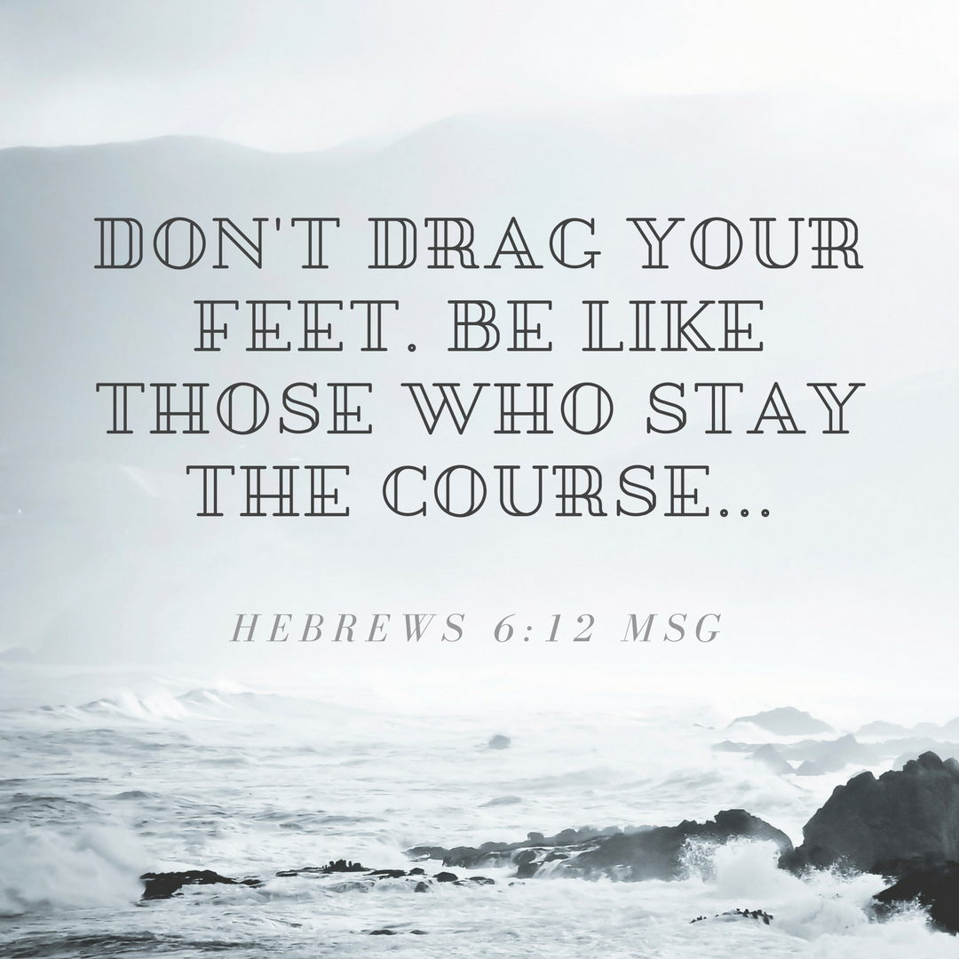 stay the course