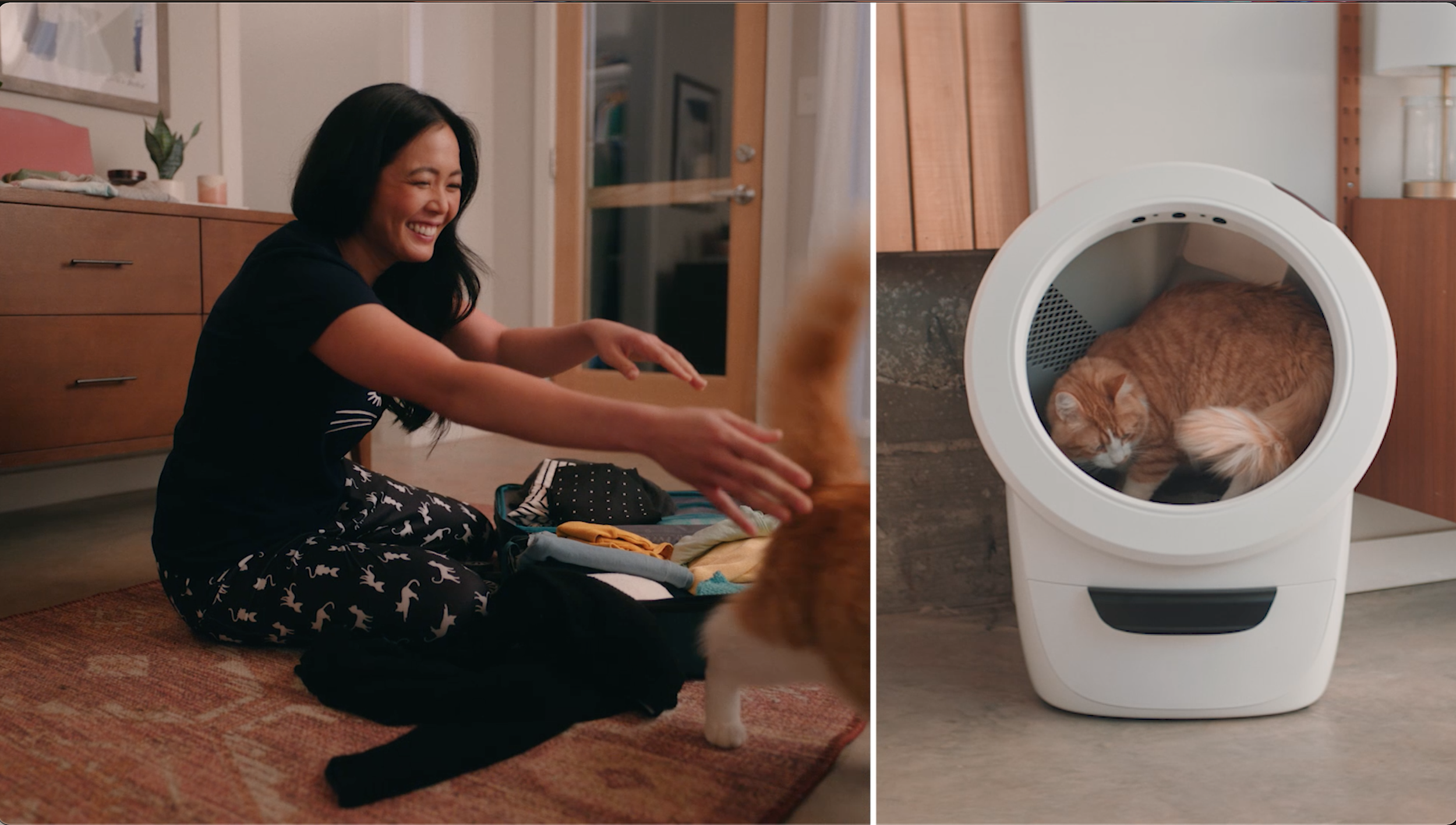 Screen Shot 2022-05-29 at 7.00.18 PM.png