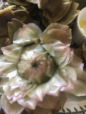 Artichoke from lunch 