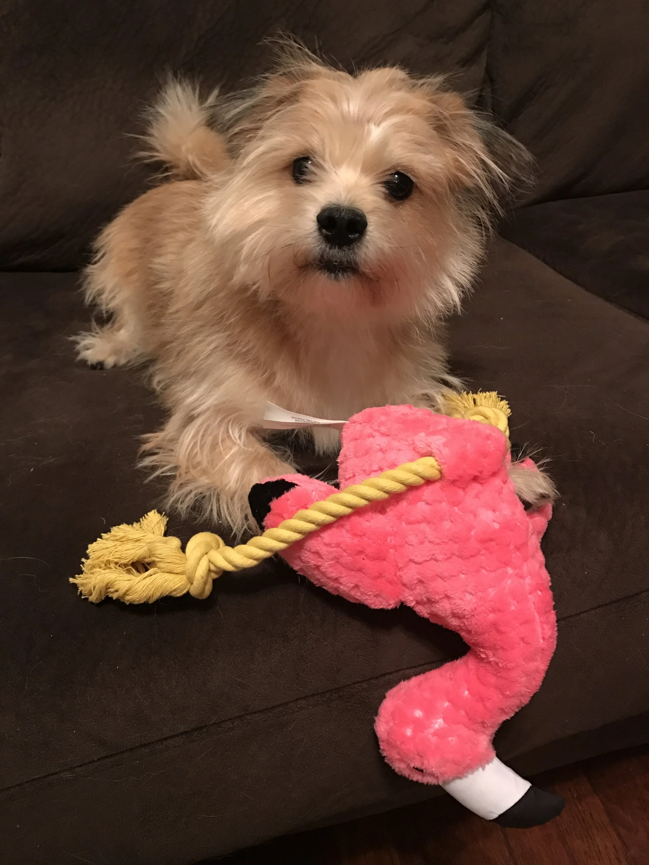 Yo'be: The Adoption Story