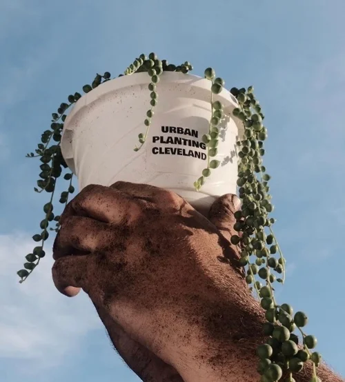 @urbanplantingcleveland