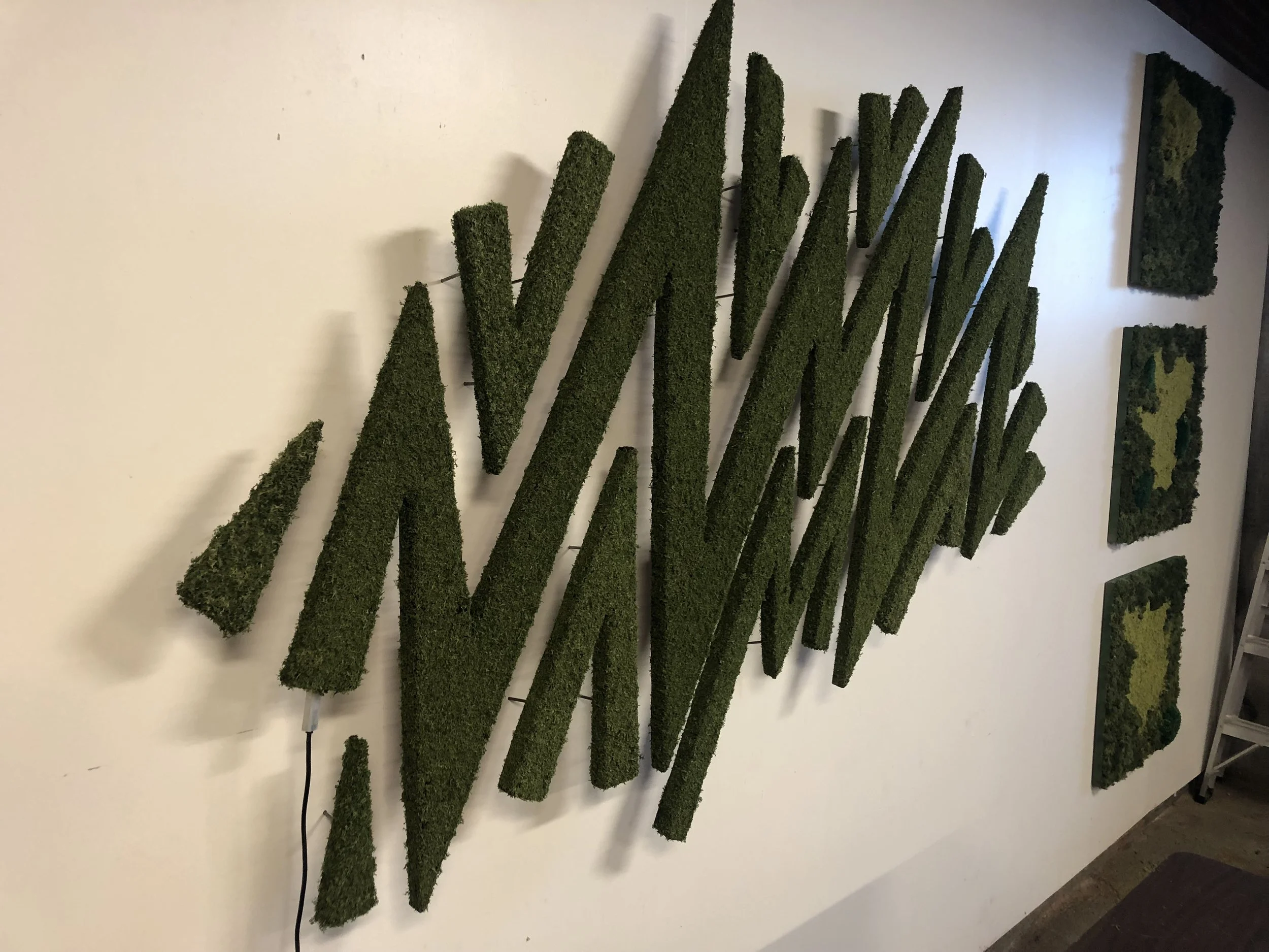 Custom moss artwork on display at the Urban Planting Cleveland studio shop. Fun fact: it lights up in many different ways!