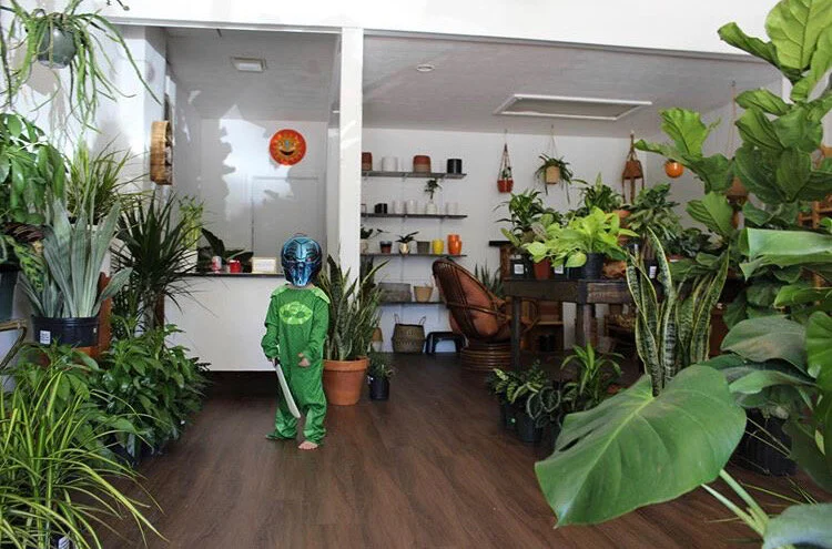 Urban Planting Cleveland’s Edgewater Neighborhood Storefront is Pet, Kid, and Superhero Friendly.