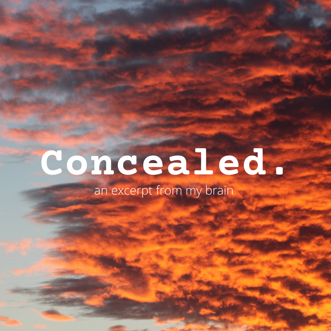 Concealed: an excerpt from my brain