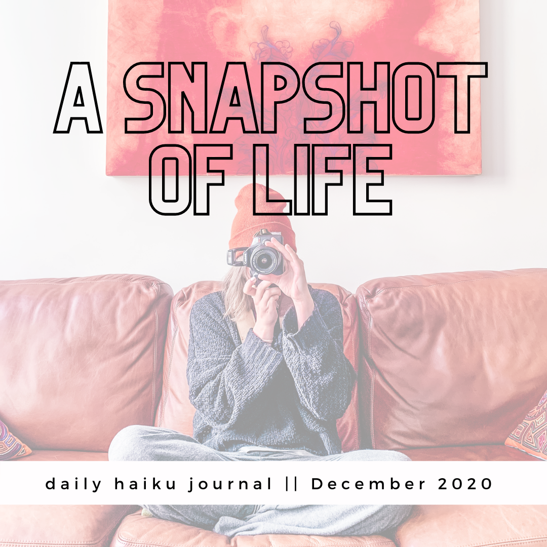 A Snapshot of Life: Daily Haiku Journal
