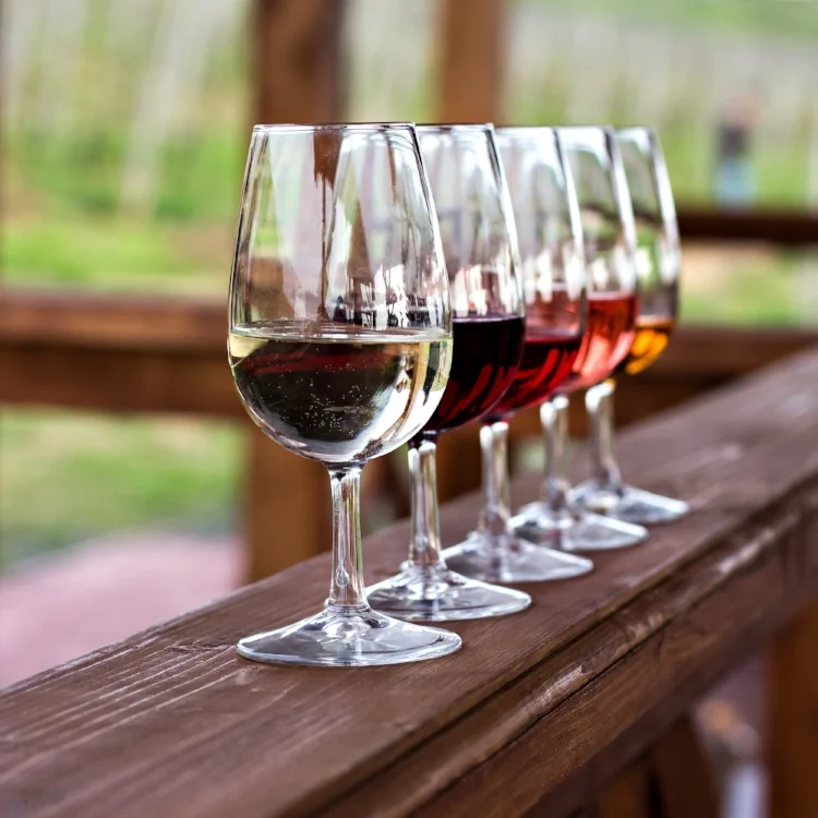 Glasses-with-wine.-Red,-pink,-white-wine-in-glasses.-924149822_3351x3351.jpeg