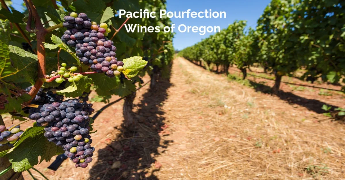 Pacific Pourfection - Wines of Oregon