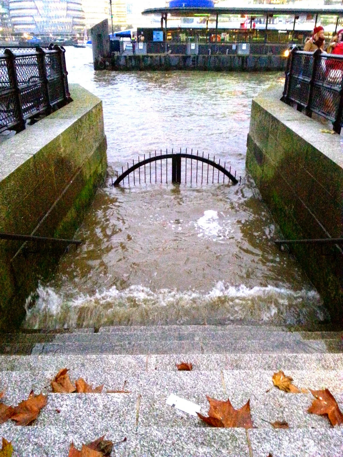 20141126_110441.jpg