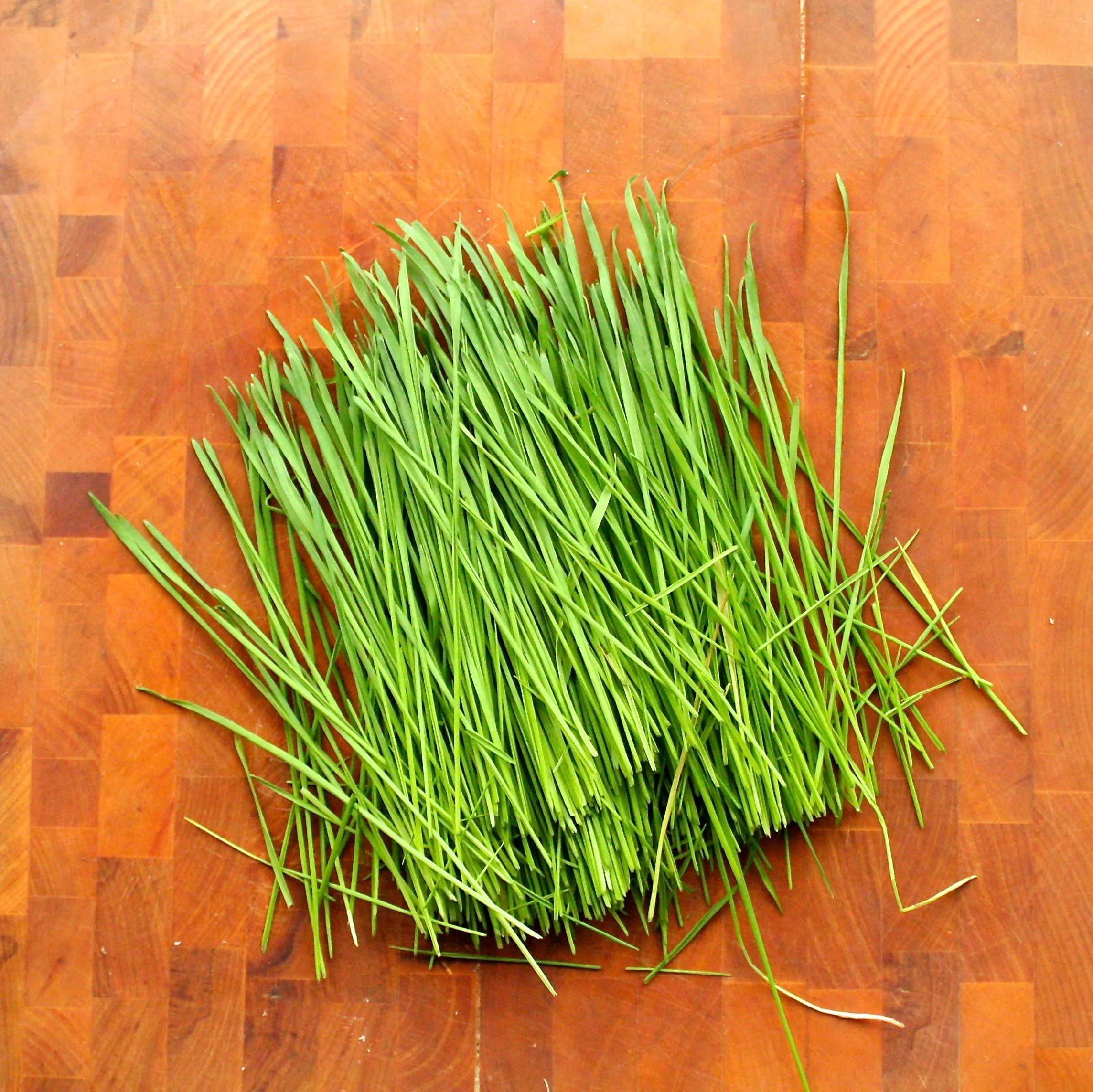 Wheatgrass Juice - Chopped.jpg