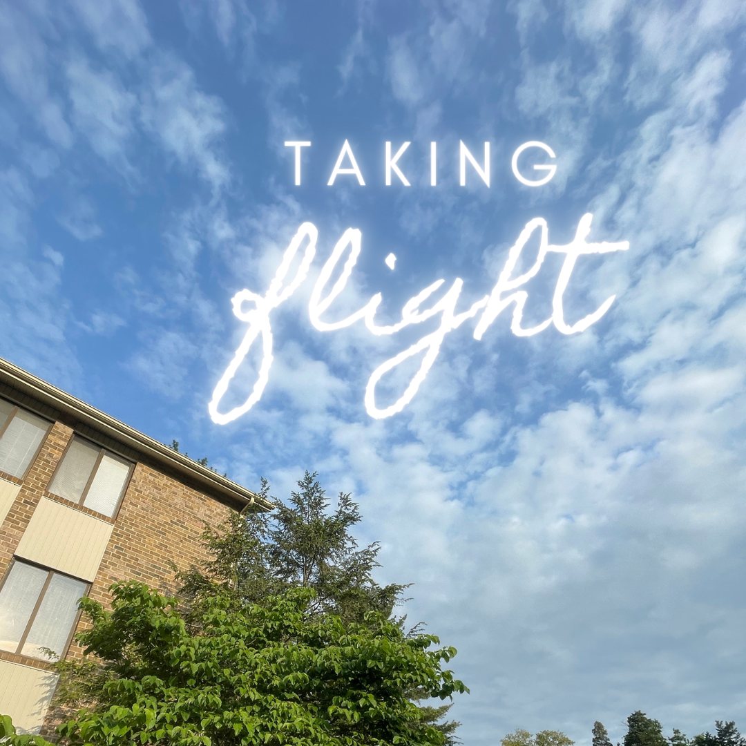 Taking Flight