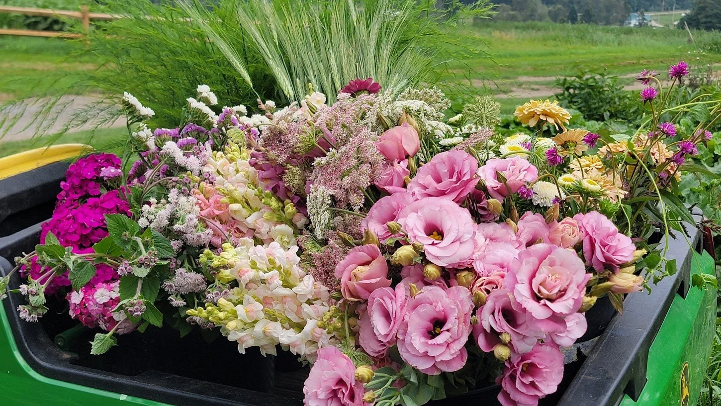bulk bucket flowers 3 2025.jpg
