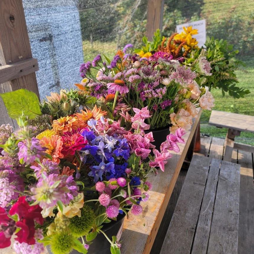 bulk bucket flowers 2025.jpg