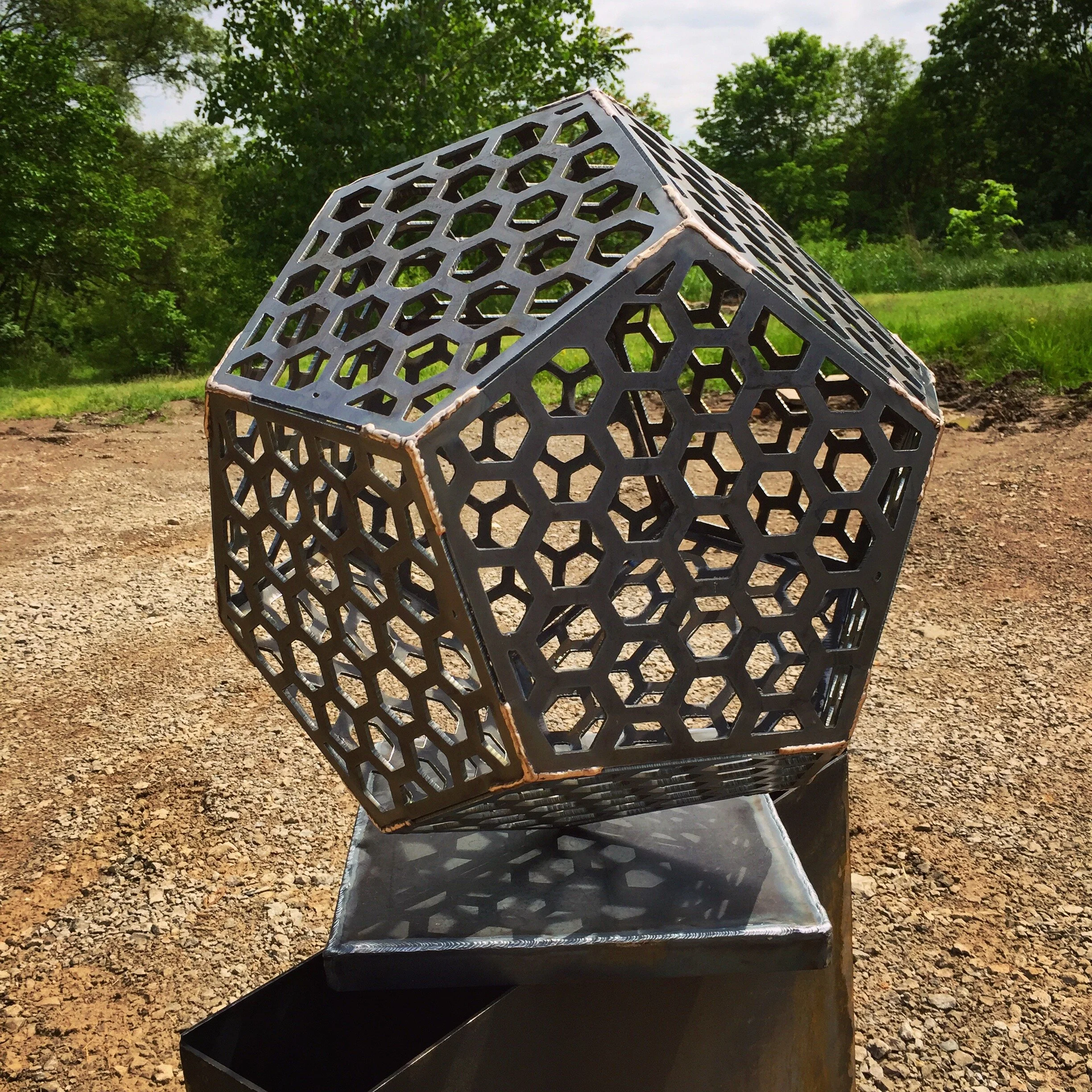 Hexagonum Virginiana.JPG