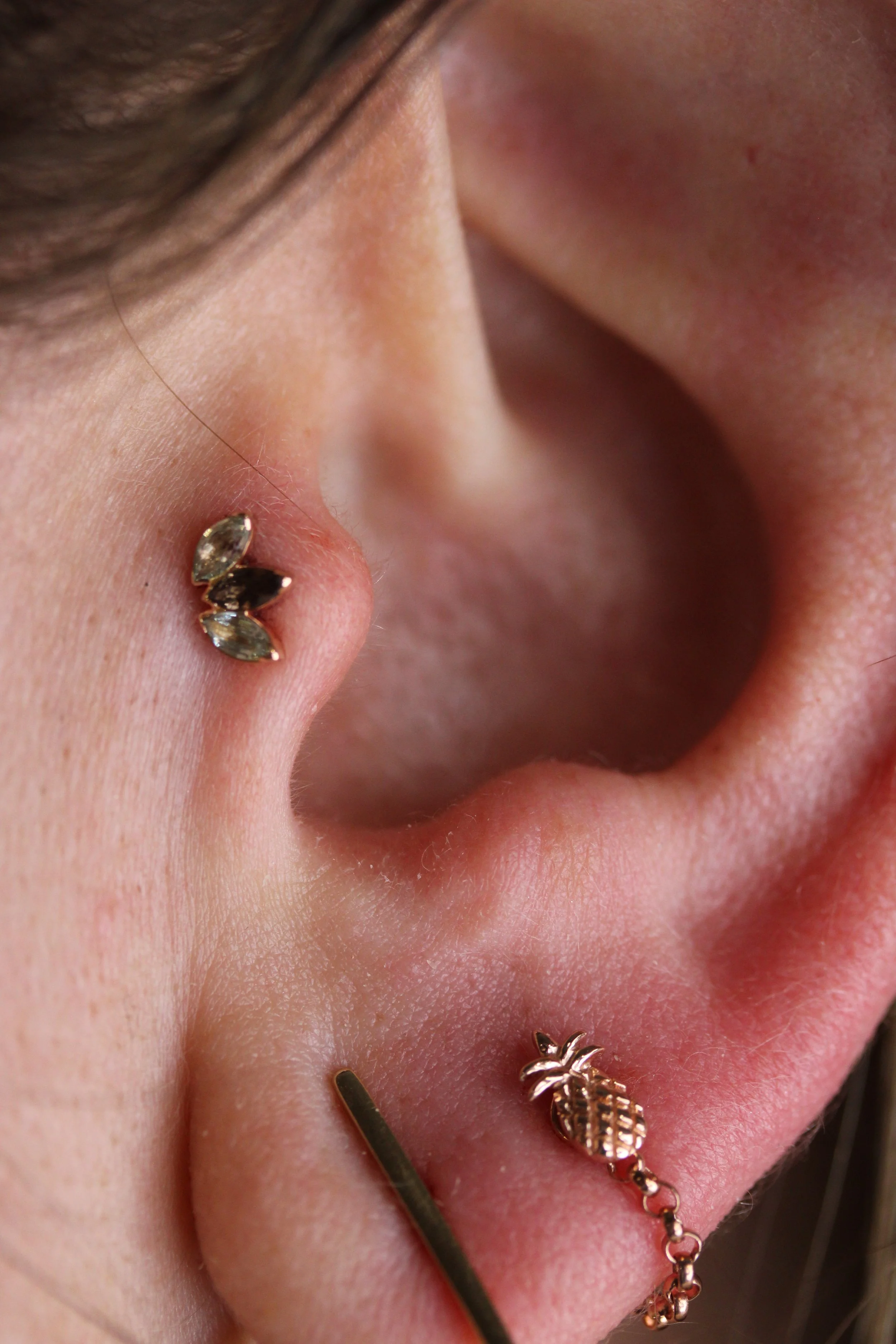 Copy of IMG_2908.JPG