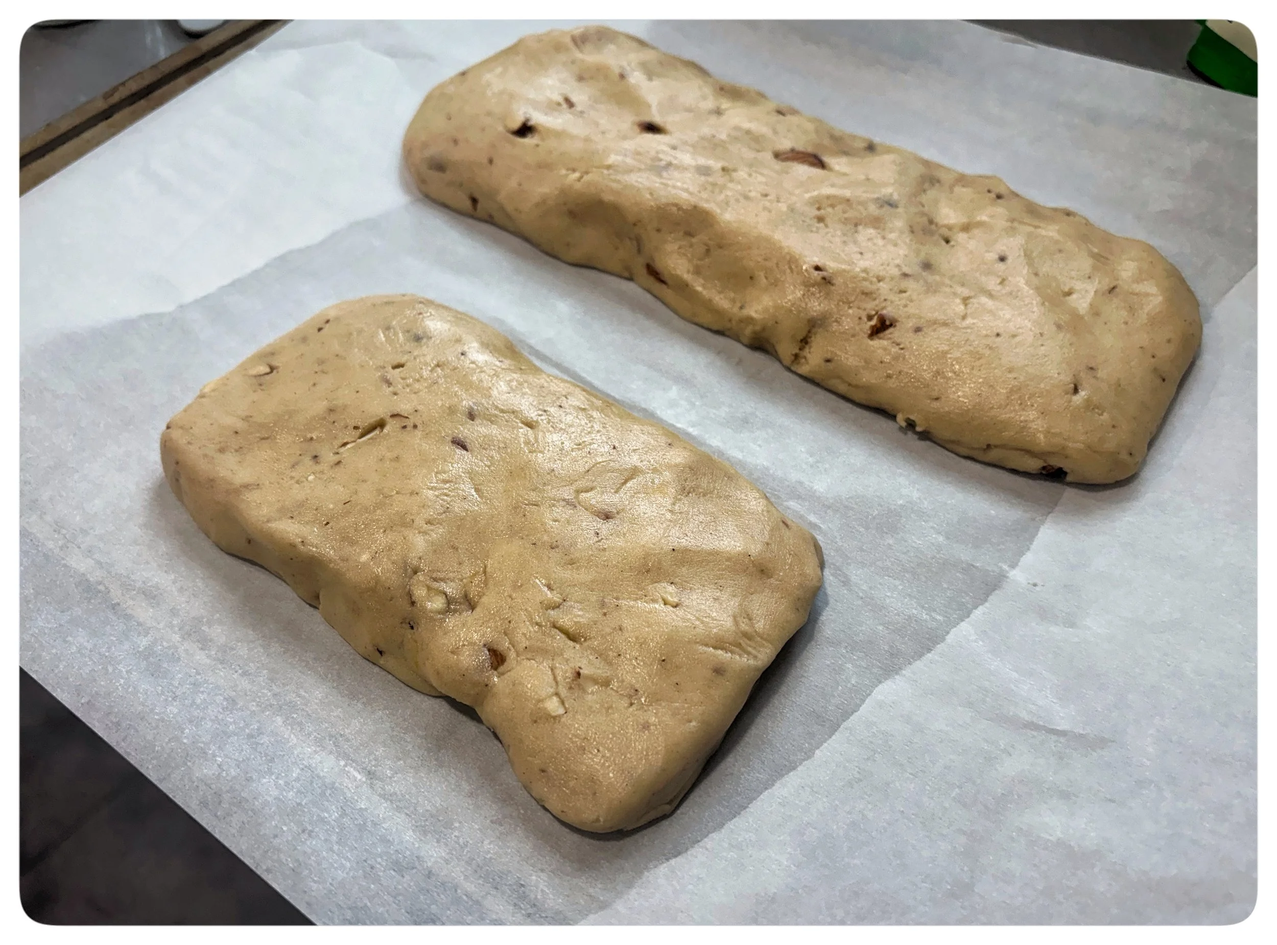  Biscotti loaves before the first bake 