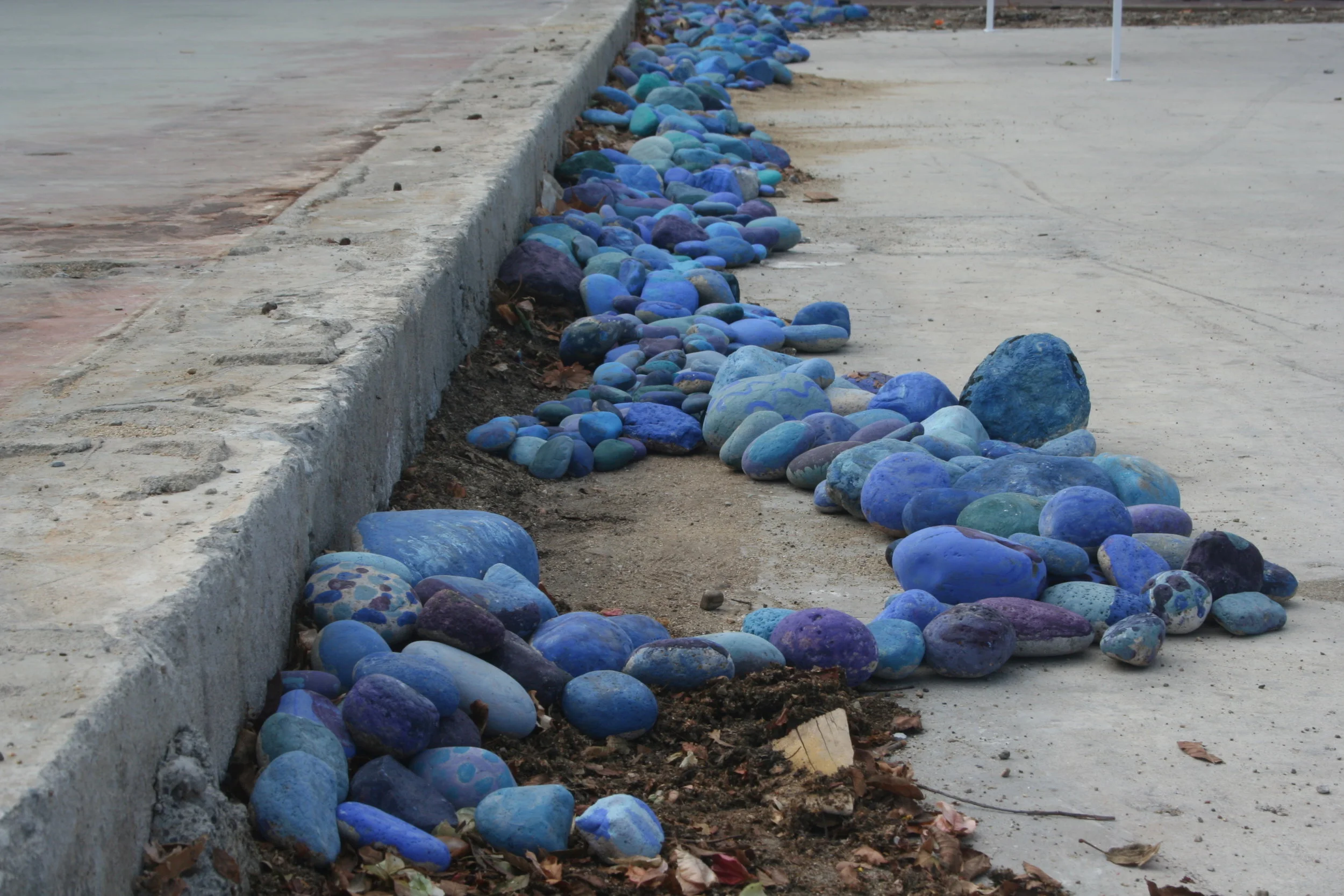 River Project_0050.JPG