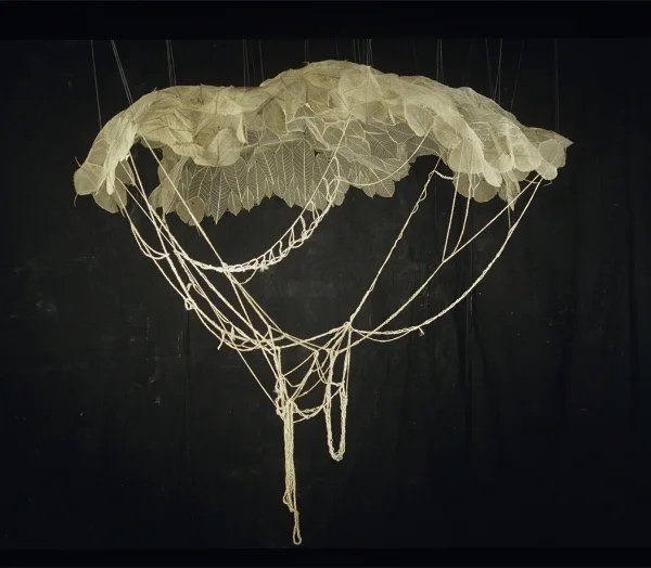  parachute  