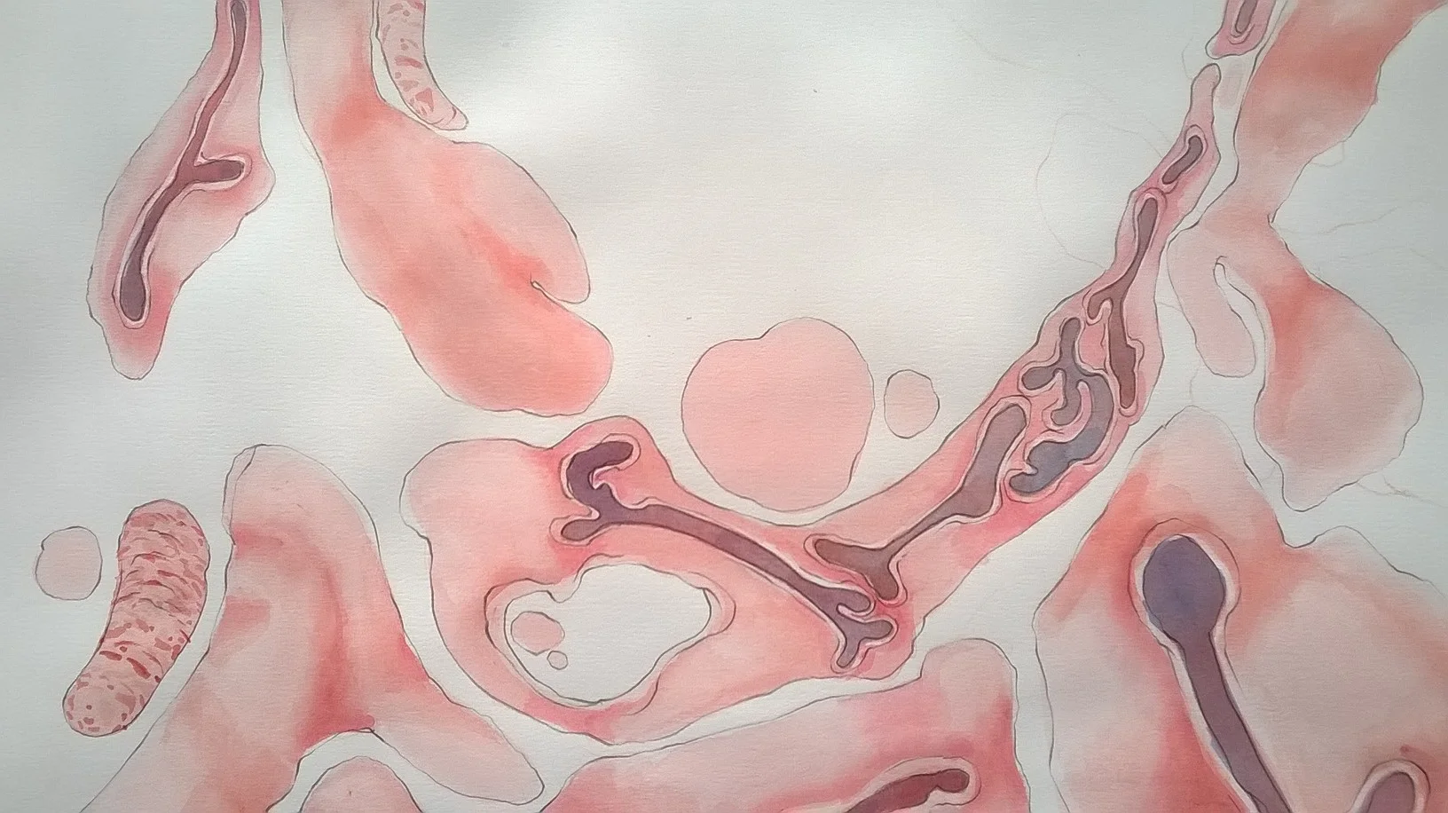 Red Sectional View 2 .jpg