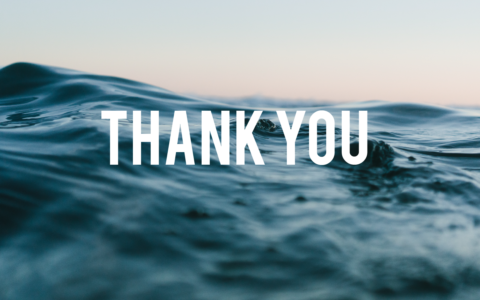 Thank you.png