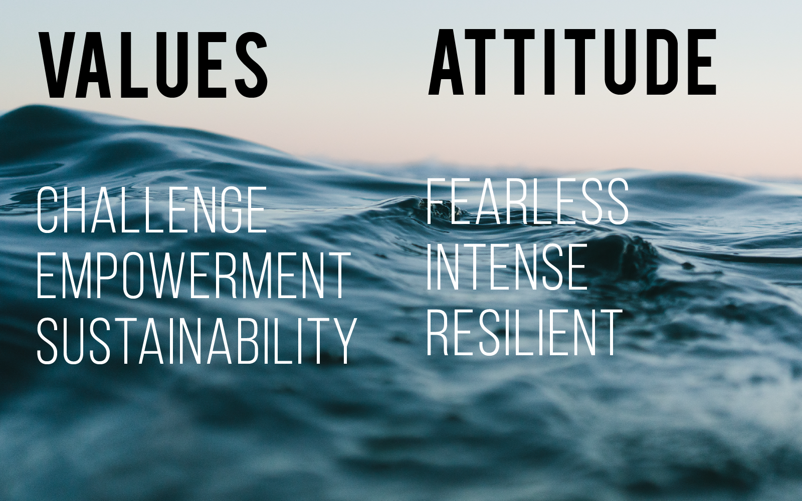Values and Attitude.png
