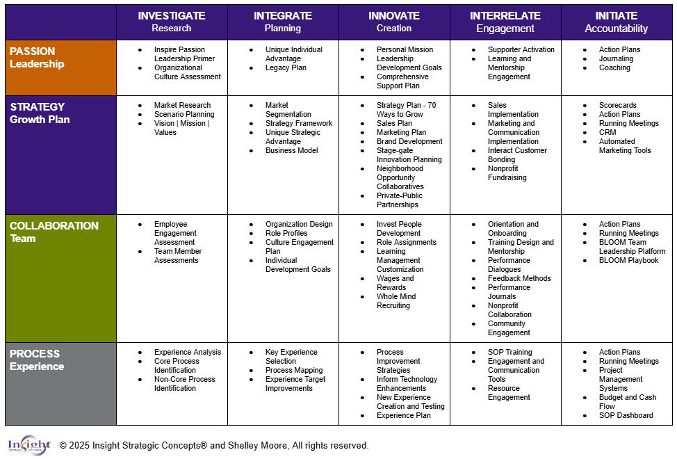 Strategy Engine Insight Execution Engine — Insight Strategic Concepts