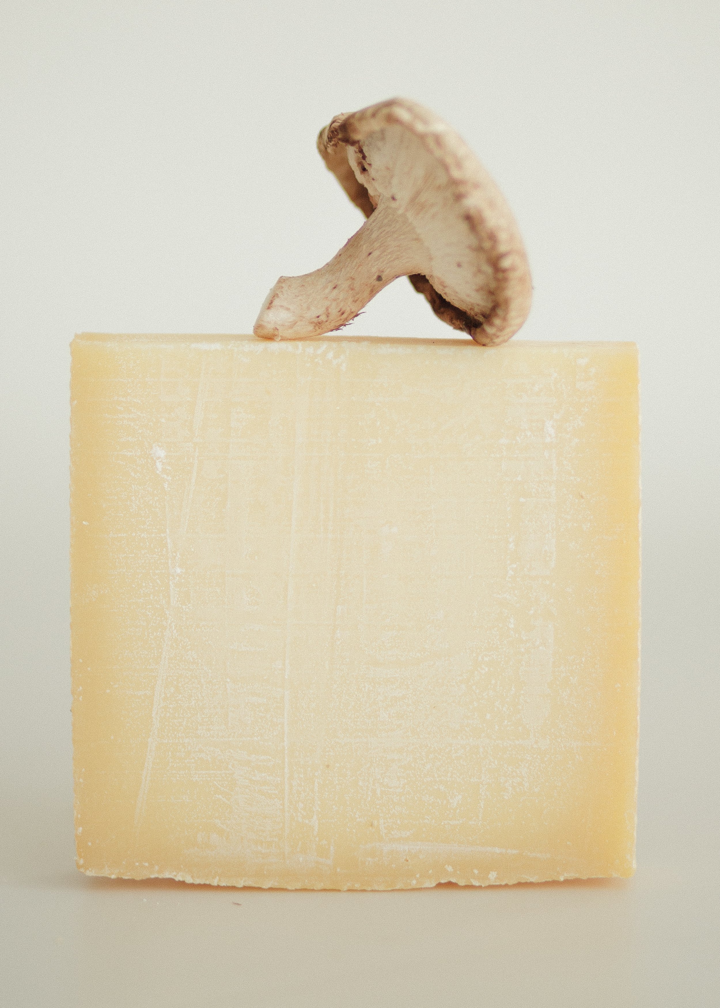 A piece of yellow cheese with a sliced mushroom placed on top of it, against a plain light background. Minimalism. Food photography. Luxury editorial