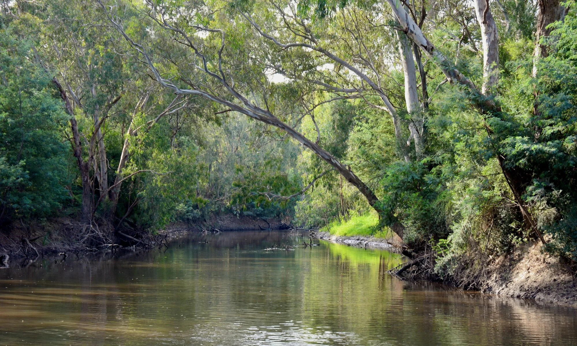 Affordable Suburbs Near the Yarra River in Melbourne 2026