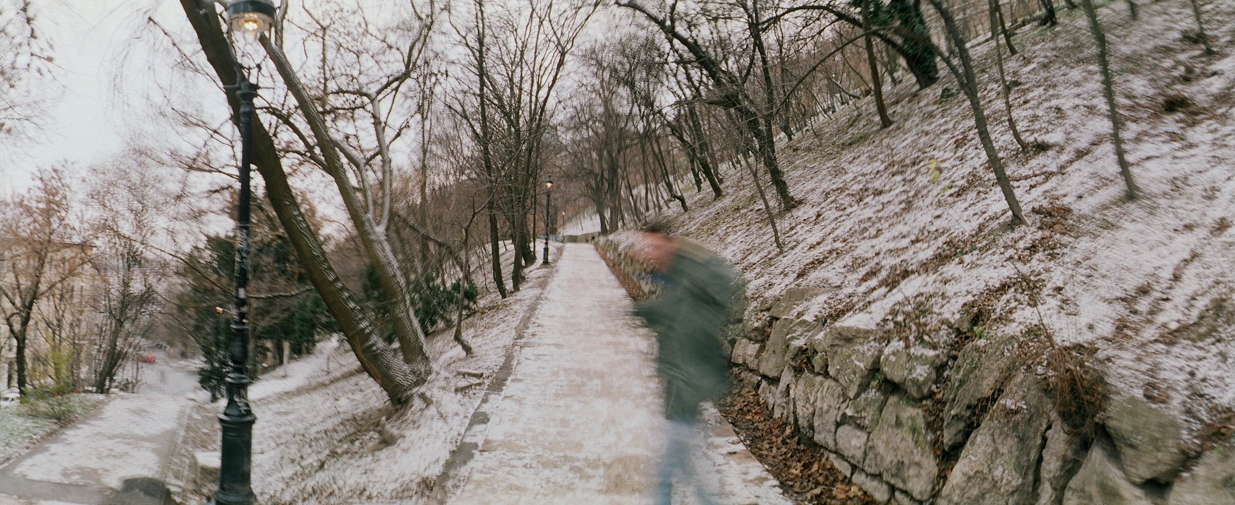 10540016 copy.jpg