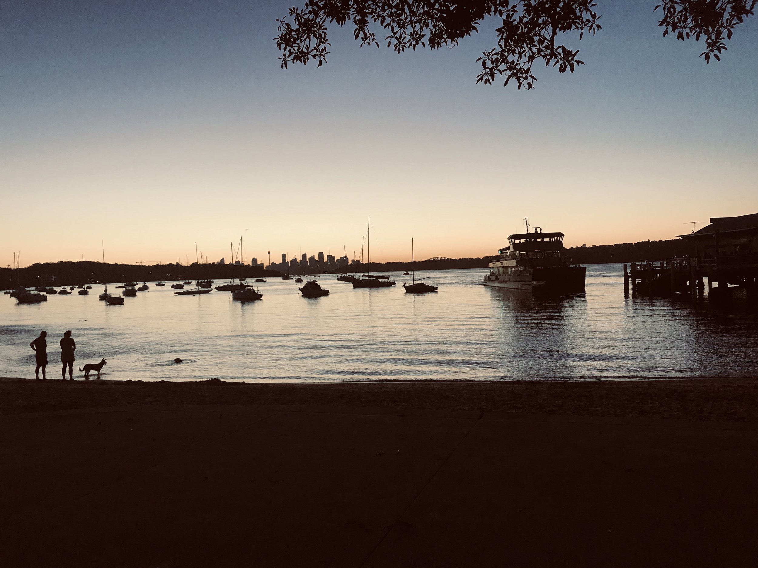 IMG_4268.jpeg