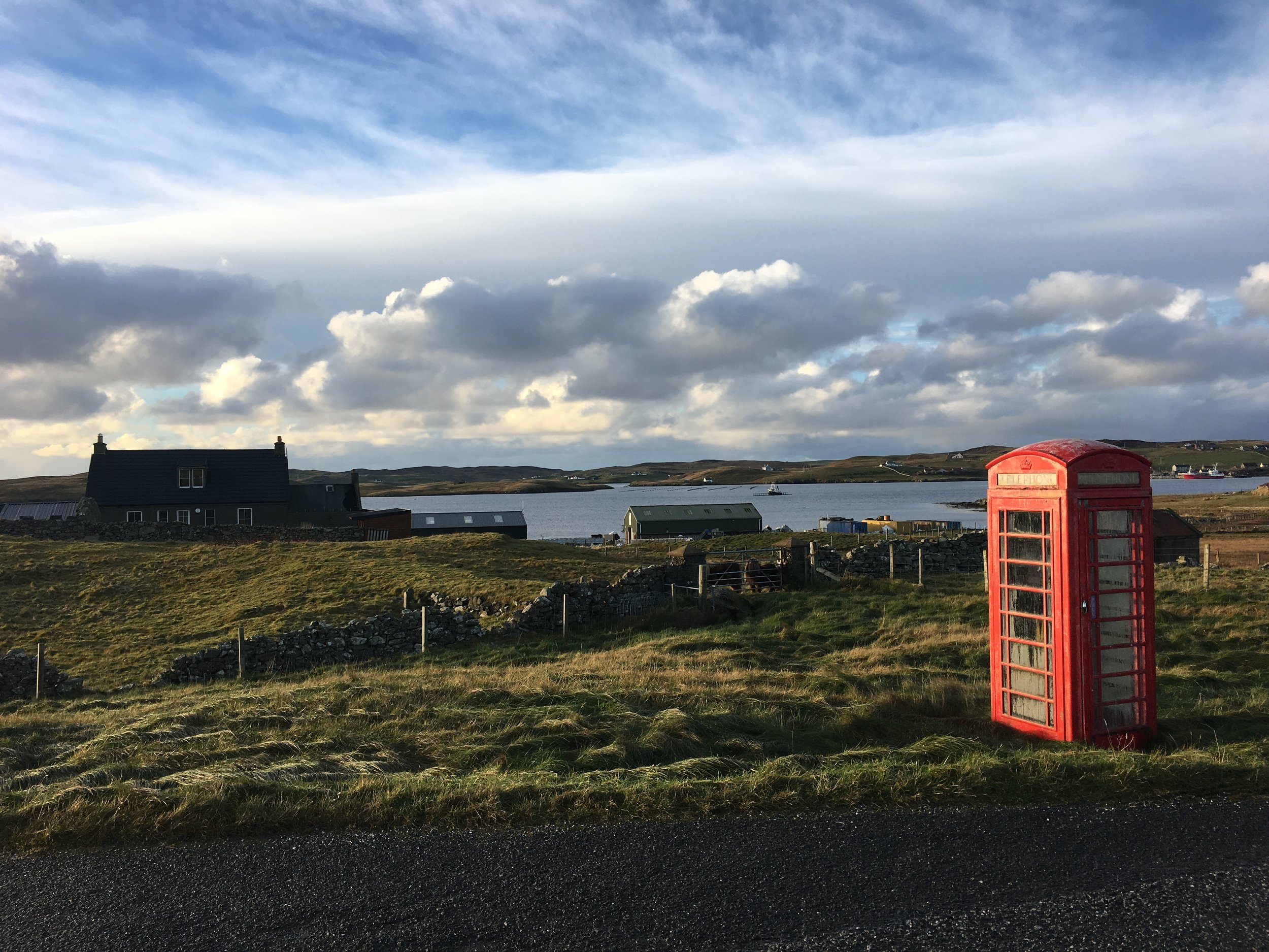 Shetland 2016.jpeg