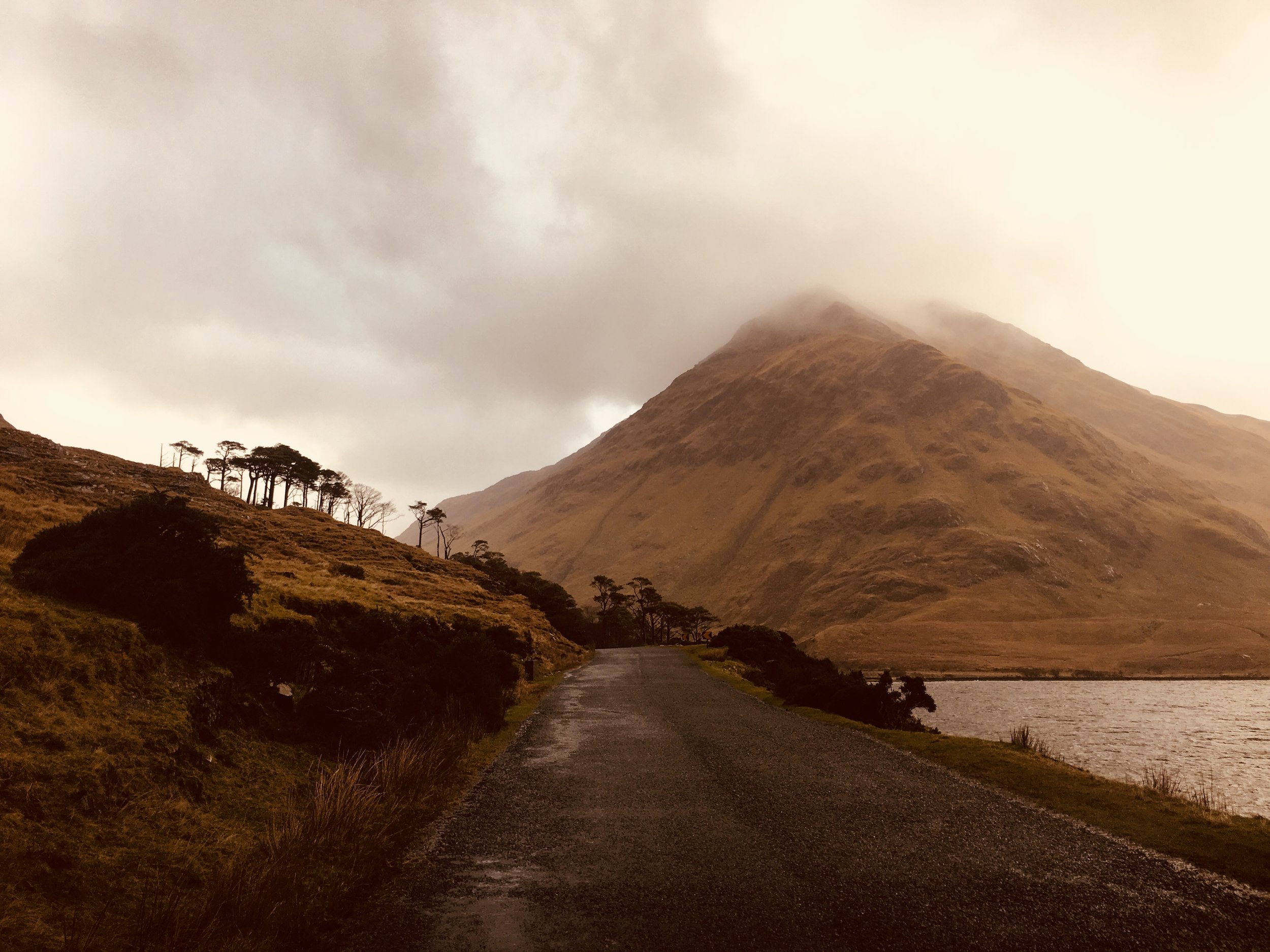 South of Westport.jpeg