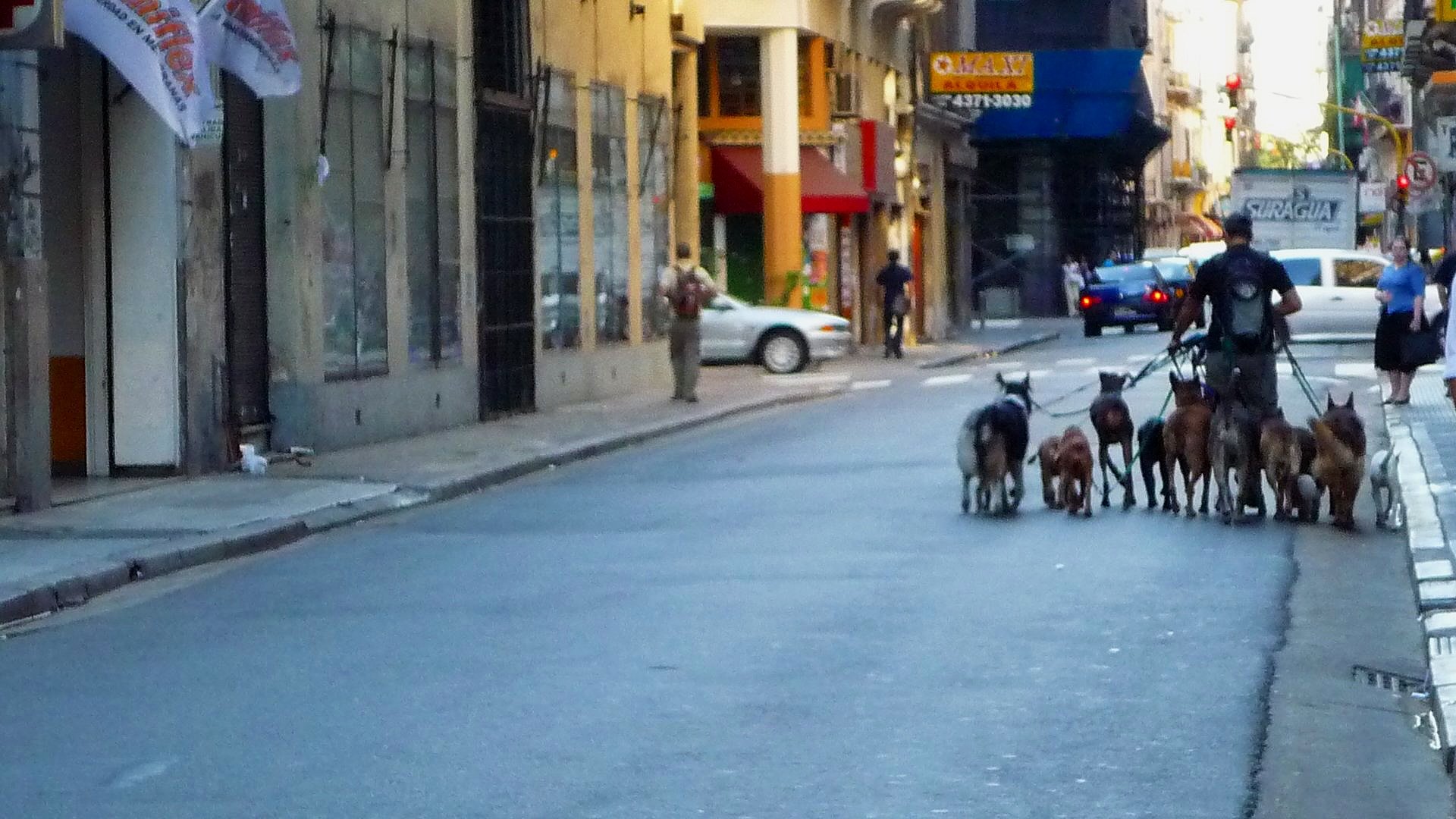P1030234.jpg
