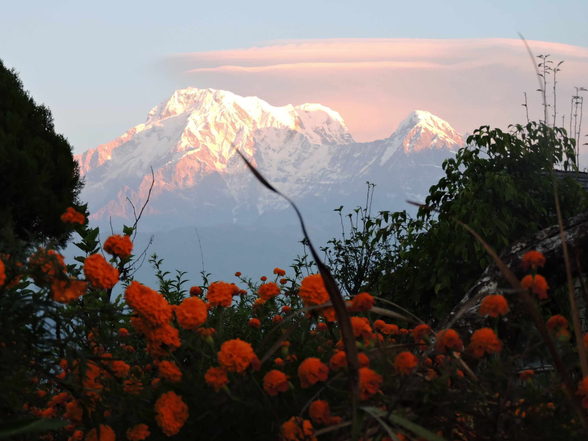 Embodied Rhythm ~ Nepal Retreat 2026 - Book now