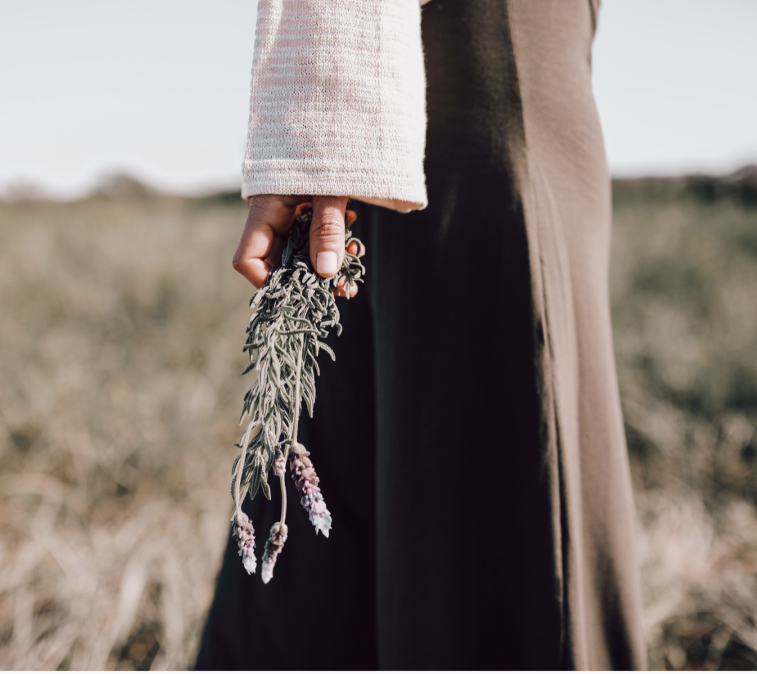 Screen Shot 2021-02-03 at 2.08.42 PM.png