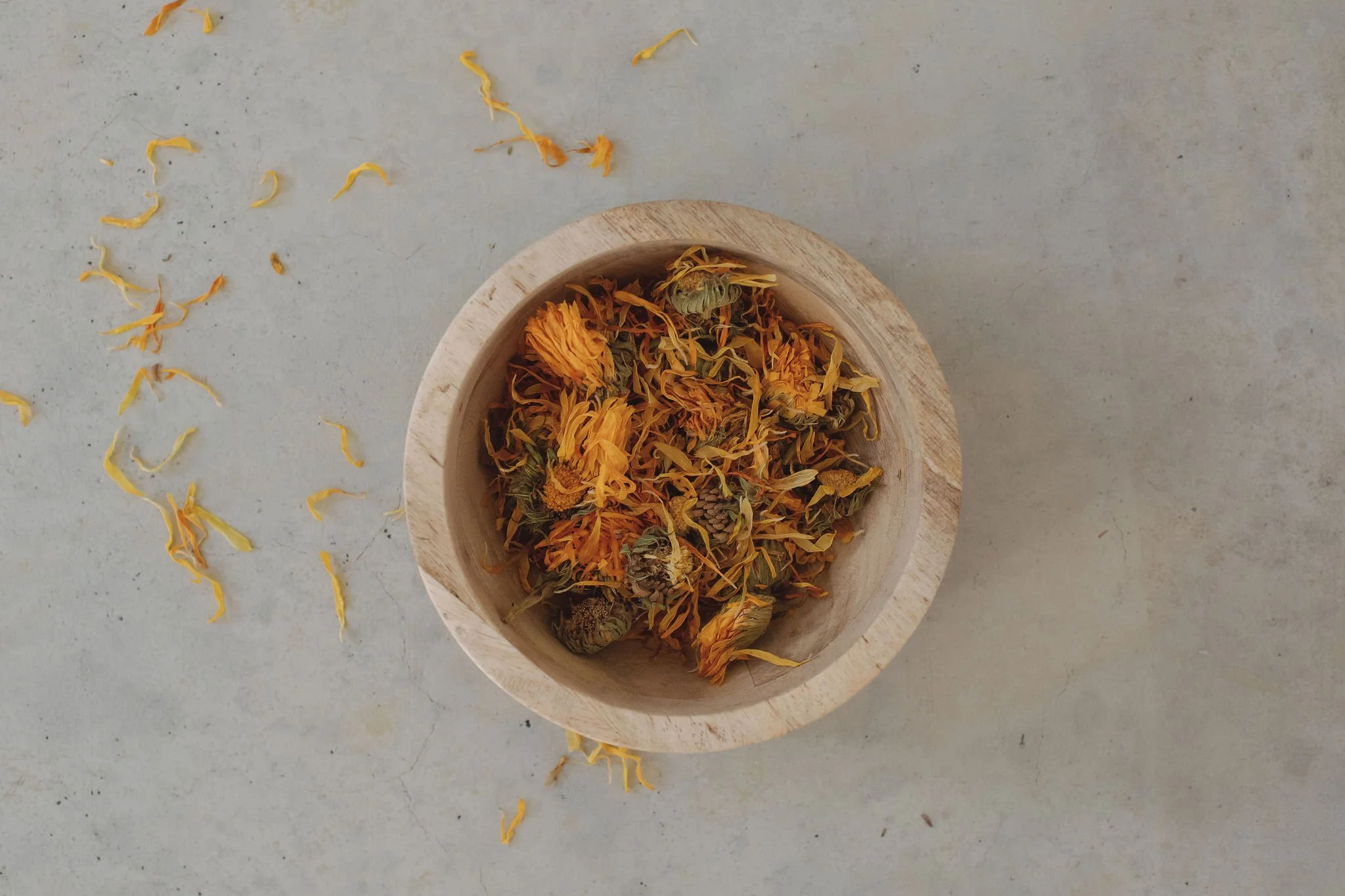 Flower Medicine Session ~ Book Now