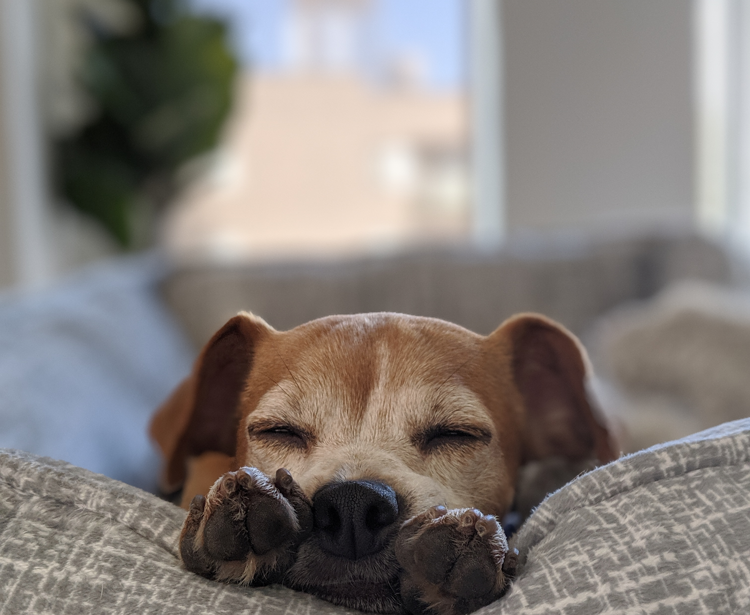 00100lPORTRAIT_00100_BURST20191110105223190_COVER copy.png