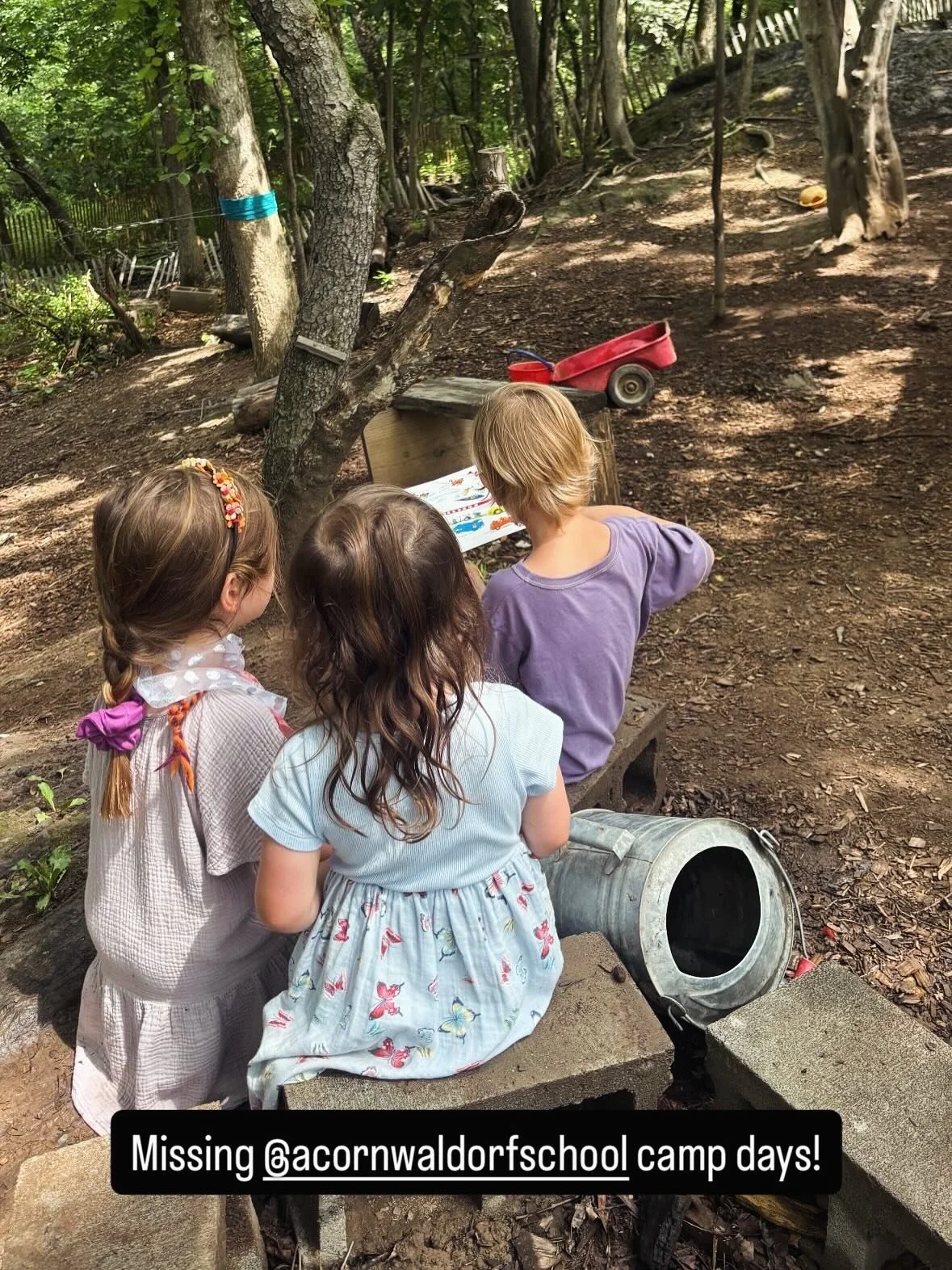 This summer has been an absolute blast 🤸 

From leading Comedy Camp at @highmeadowschool 🤡 &hellip;.

To outdoor play at @acornwaldorfschool camp 🌲&hellip;

But it&rsquo;s not nearly over yet! 

Introducing: PLAYFUL HEARTS SUMMER CAMP

Intro to ac