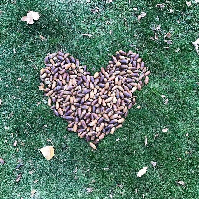 Love all your little acorn hearts. Happy Mother's Day. Repost from @acreativelifestyle .
#fromlittlethingsbigthingsgrow