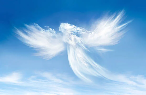 angel.jpg