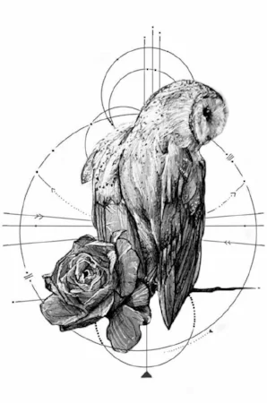 owly.jpg