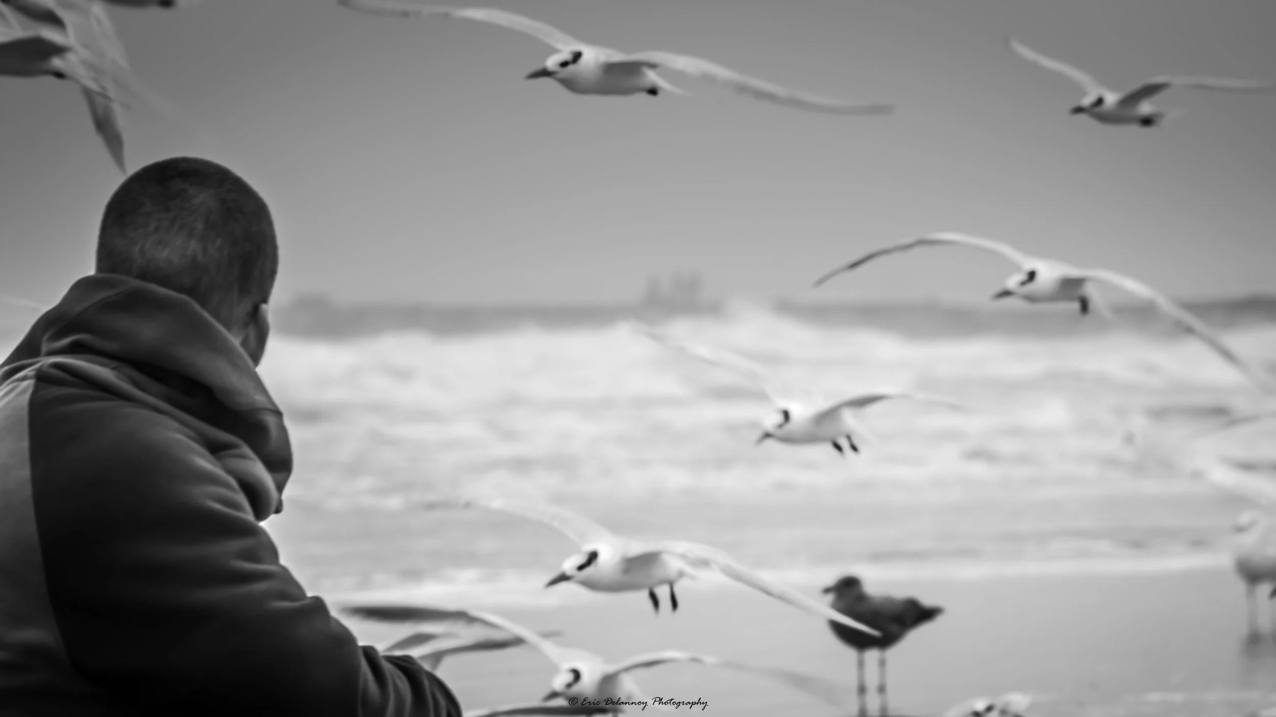 fla dec 2016-7567.JPG