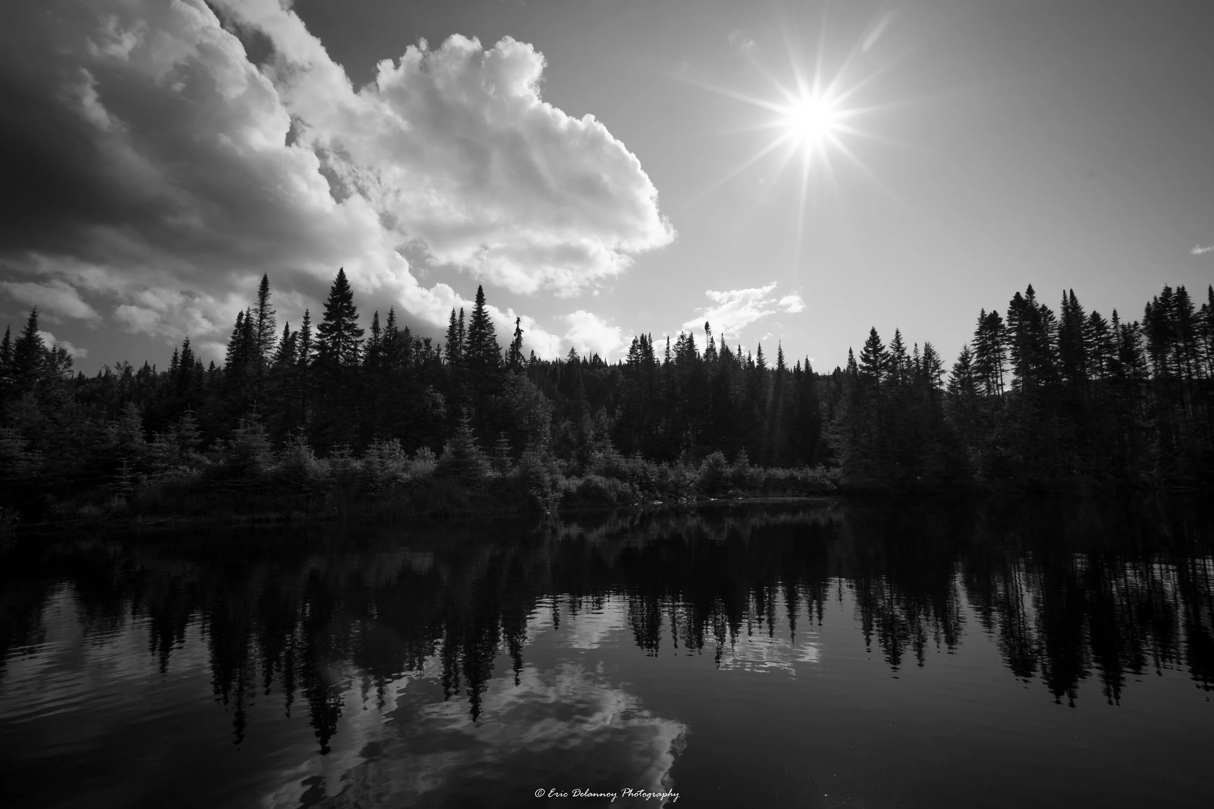 01-07-17 BW-01307.JPG