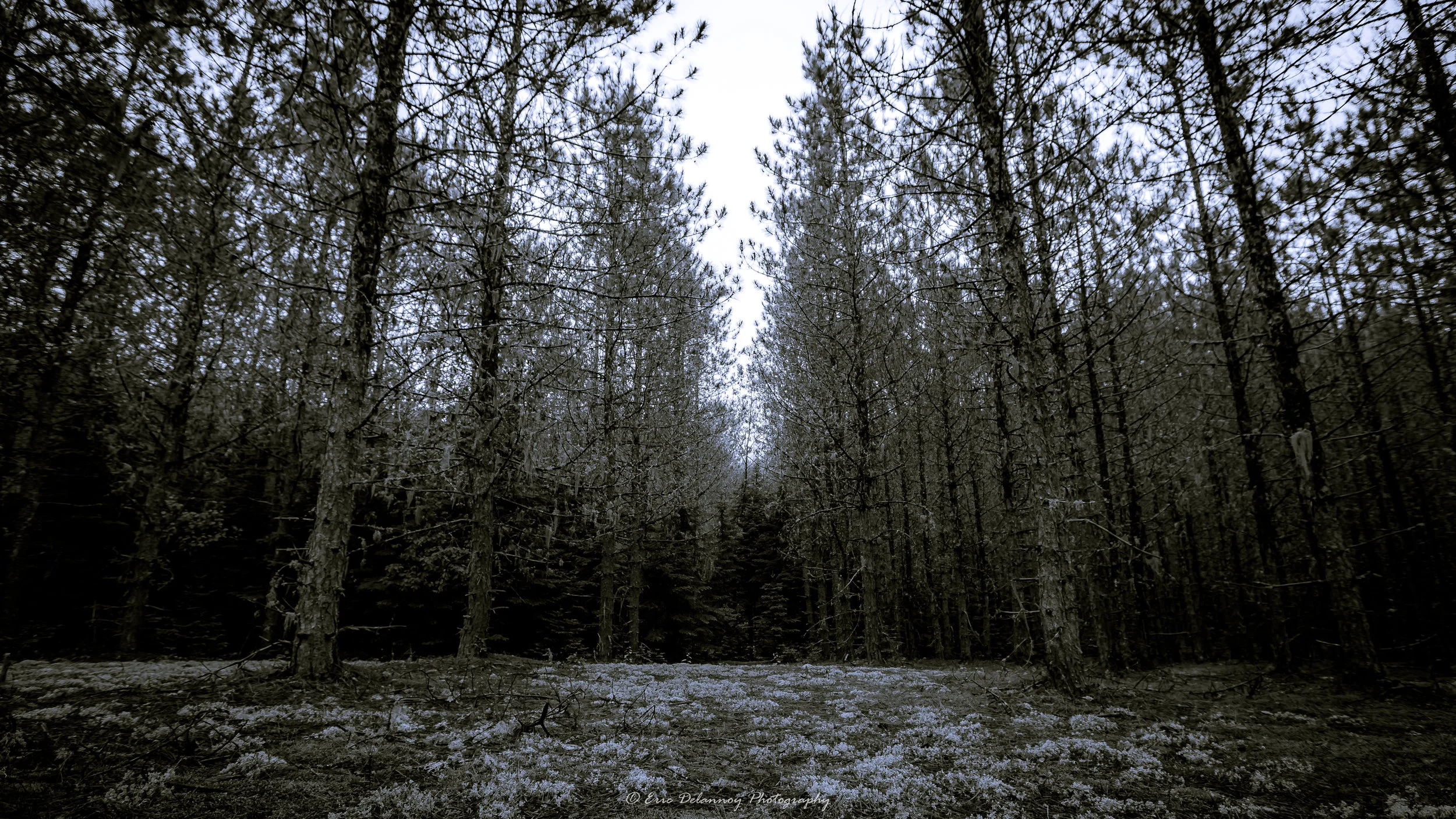 01-07-17 BW-00555.JPG