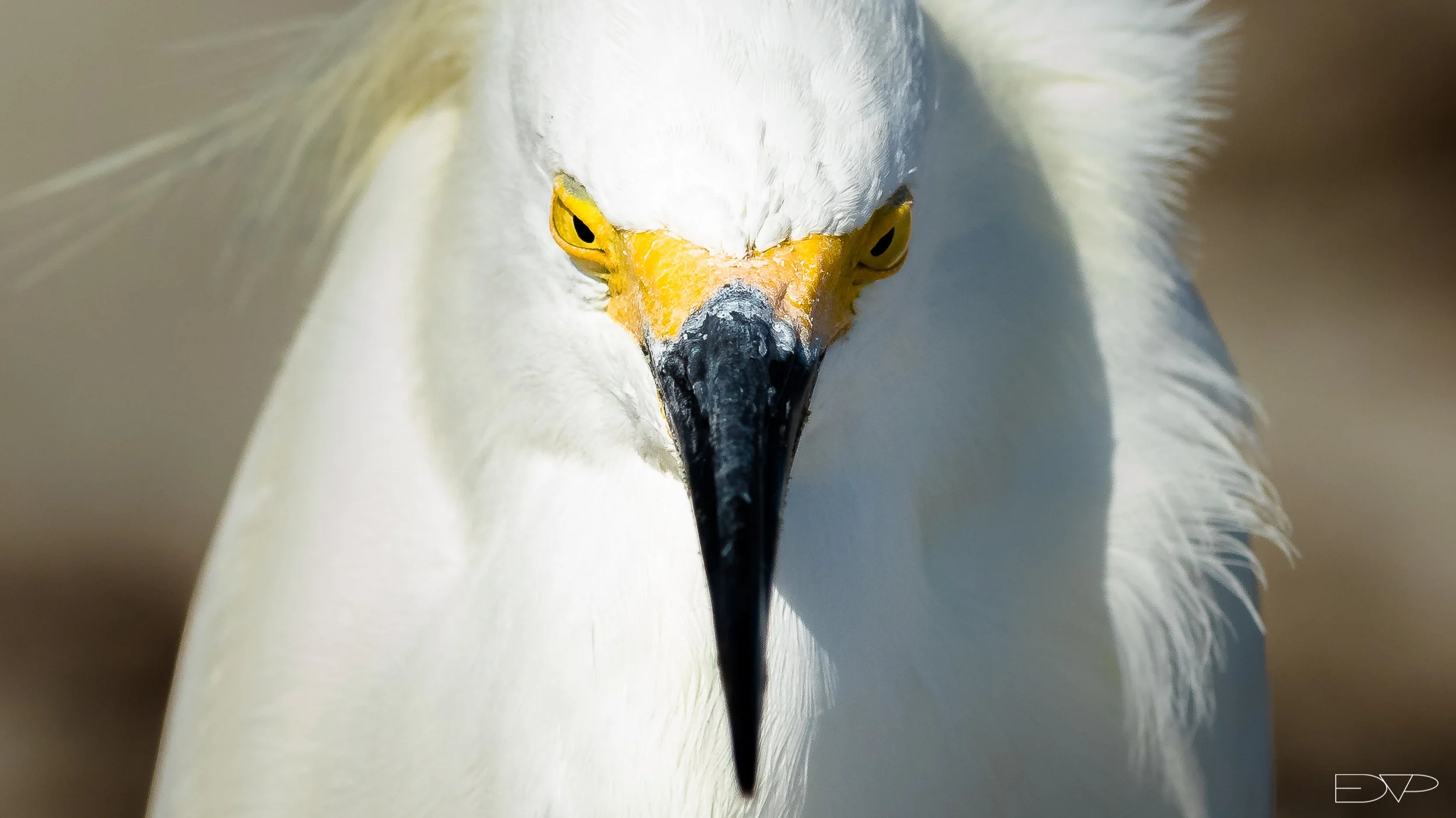 Ponce Inlet-5023.JPG